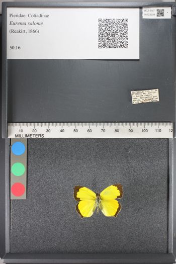 Media type: image;   Entomology 123209